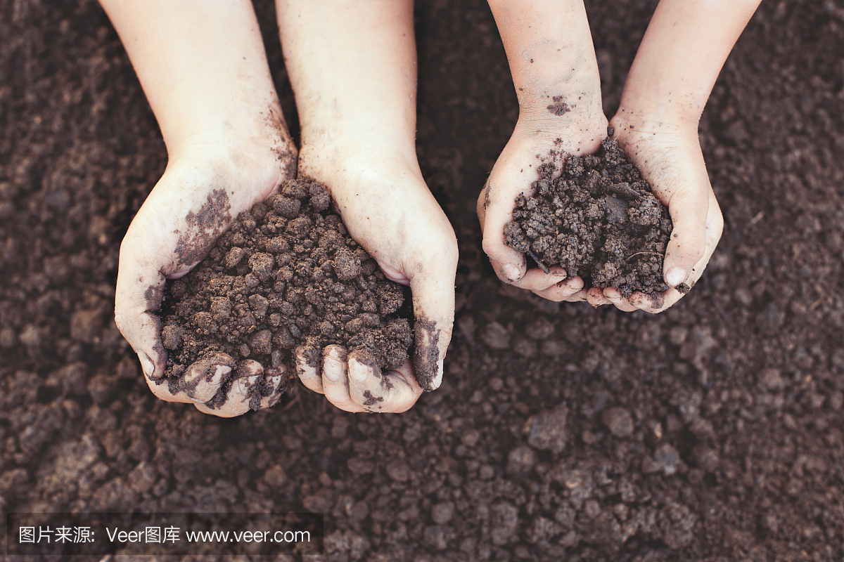 父母和孩子手拿着心形的土壤一起种植